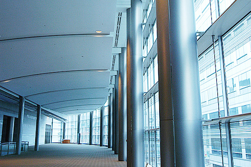 注冊(cè)自貿(mào)區(qū)公司難不難