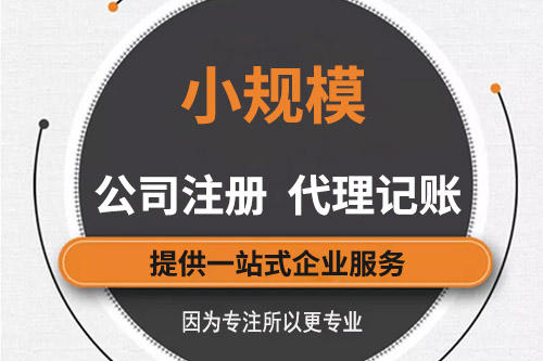 一般納稅人與小規模納稅人的區別